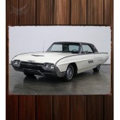 Металлическая табличка Ford Thunderbird 316